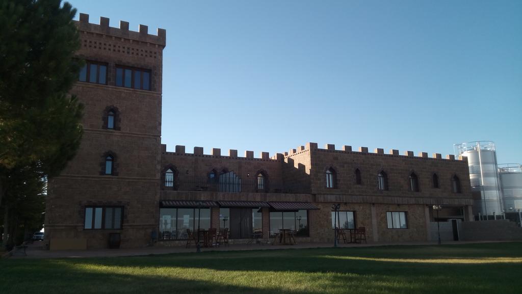 Hotel Vinedos Y Bodegas El Castillo Villarrobledo Dış mekan fotoğraf